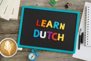 Nederlandse taalgeschiedenis, dialecten en regionalismen