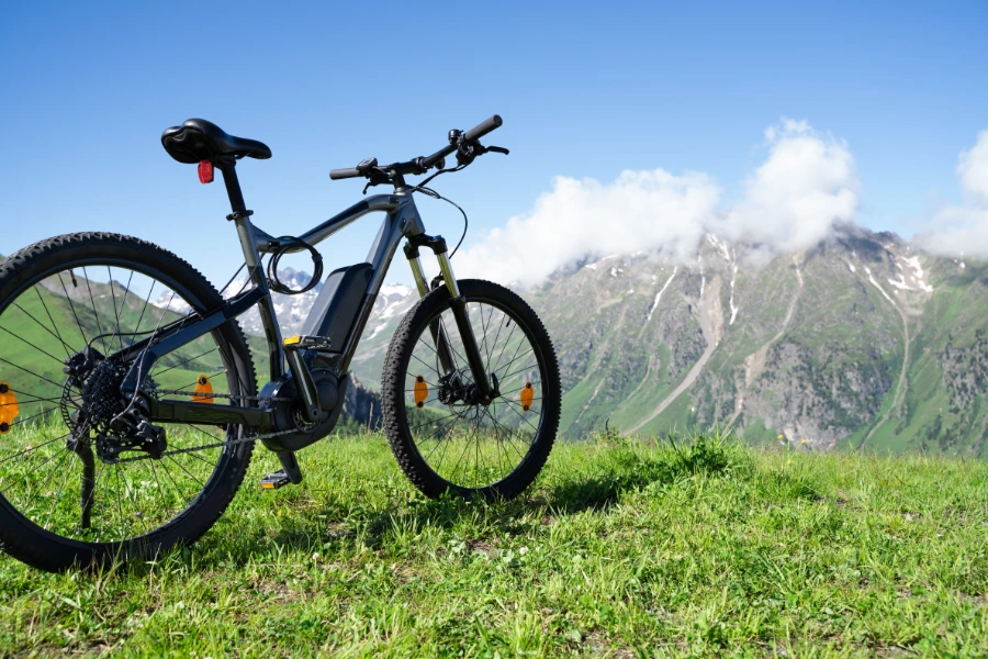 Hoe veranderen elektrische mountainbikes het fietslandschap?