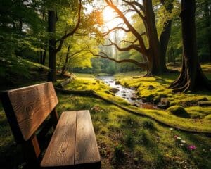 Waarom is tijd in de natuur zo waardevol?