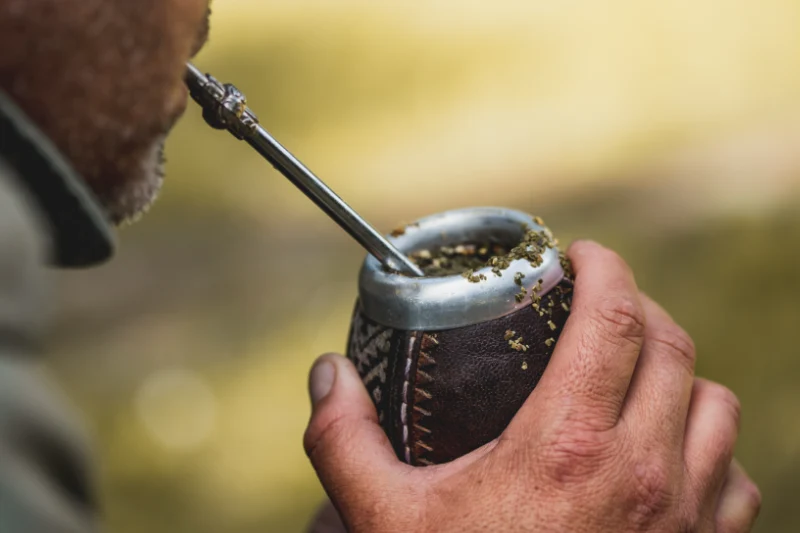 yerba mate Belgie