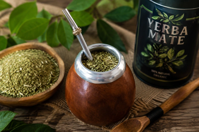 wat is yerba mate